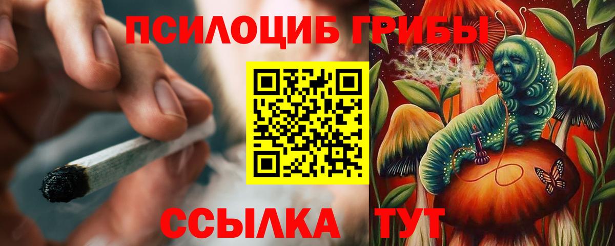 Псилоцибиновые грибы мухоморы Вологда