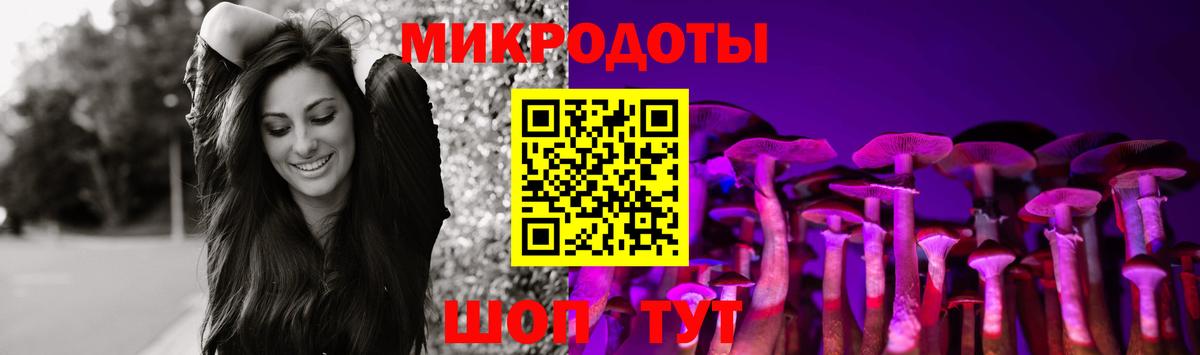Вологда  цена   Вход с VPN  Псилоцибиновые грибы Magic Shrooms 